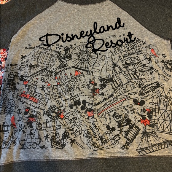 Disney Gray Raglan Sweatshirt with Vintage Design - Picture 7 of 7
